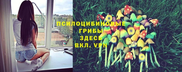 мяу мяу мука Пролетарск