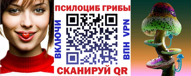 Псилоцибиновые грибы Psilocybine cubensis  Дальнереченск 